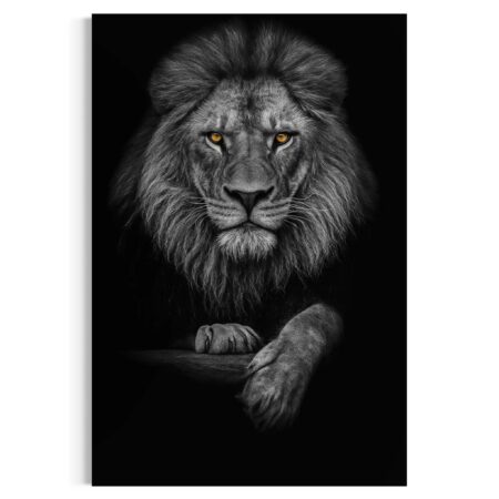 Golden Eyed Lion