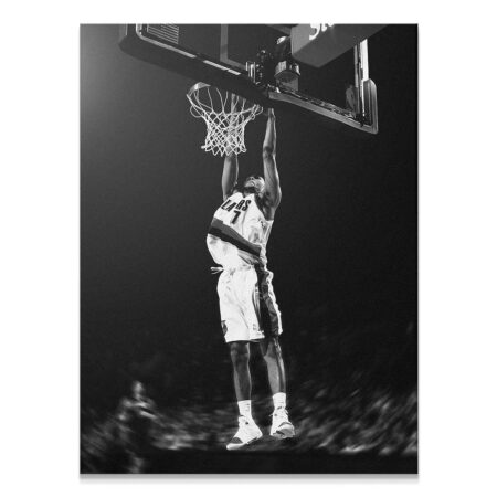 Overhead angle showing the net shaking after the powerful jam, featuring Brandon Roy - Dunk #2.
