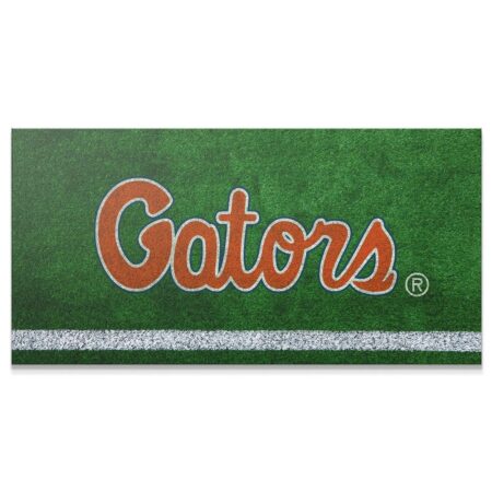 Close-up texture of the green turf background under the Florida - Field Logo artwork.