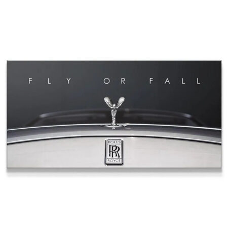 Close-up view of the Spirit of Ecstasy emblem defining 'Fly Or Fall' automotive art.
