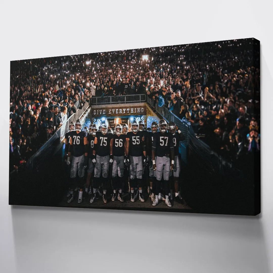 Lifestyle view of the massive scale of the sporting event and the intense crowd lighting effect, captured in Give Everything (Football).