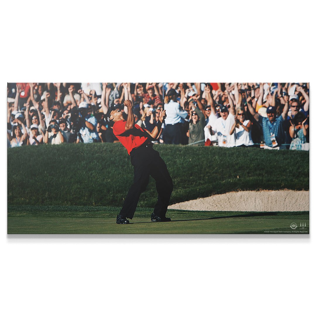 Tiger Woods - Give Everything - Image 4