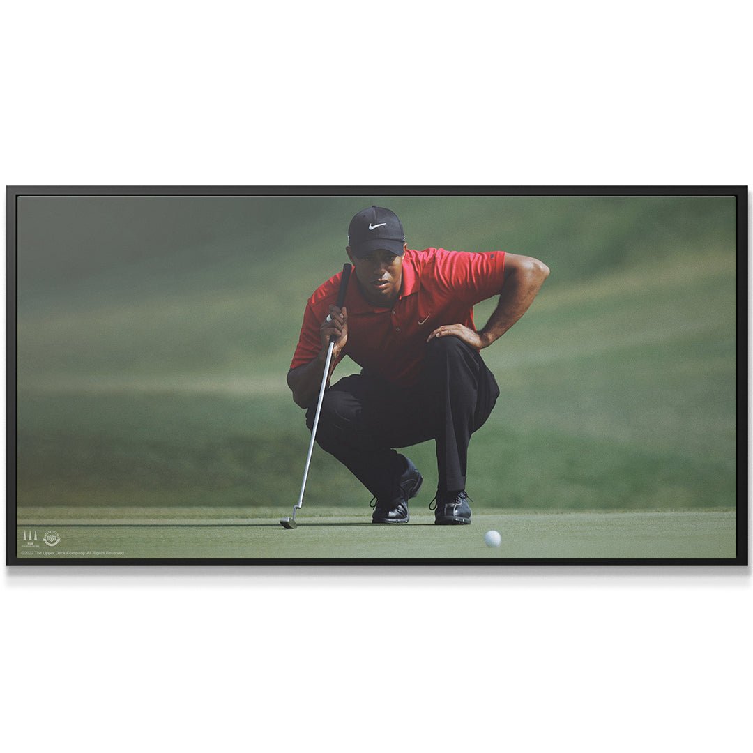 Tiger Woods - Master Your Mind (No Quote) - Image 2