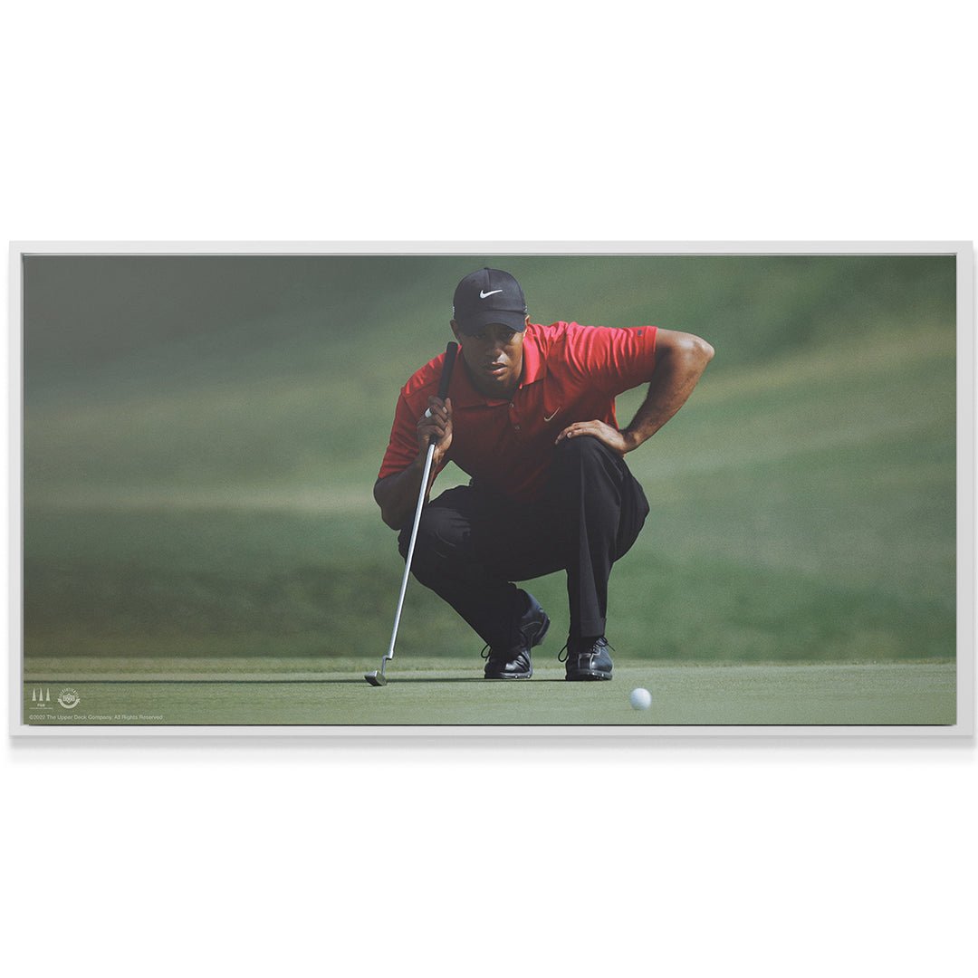 Tiger Woods - Master Your Mind (No Quote) - Image 3