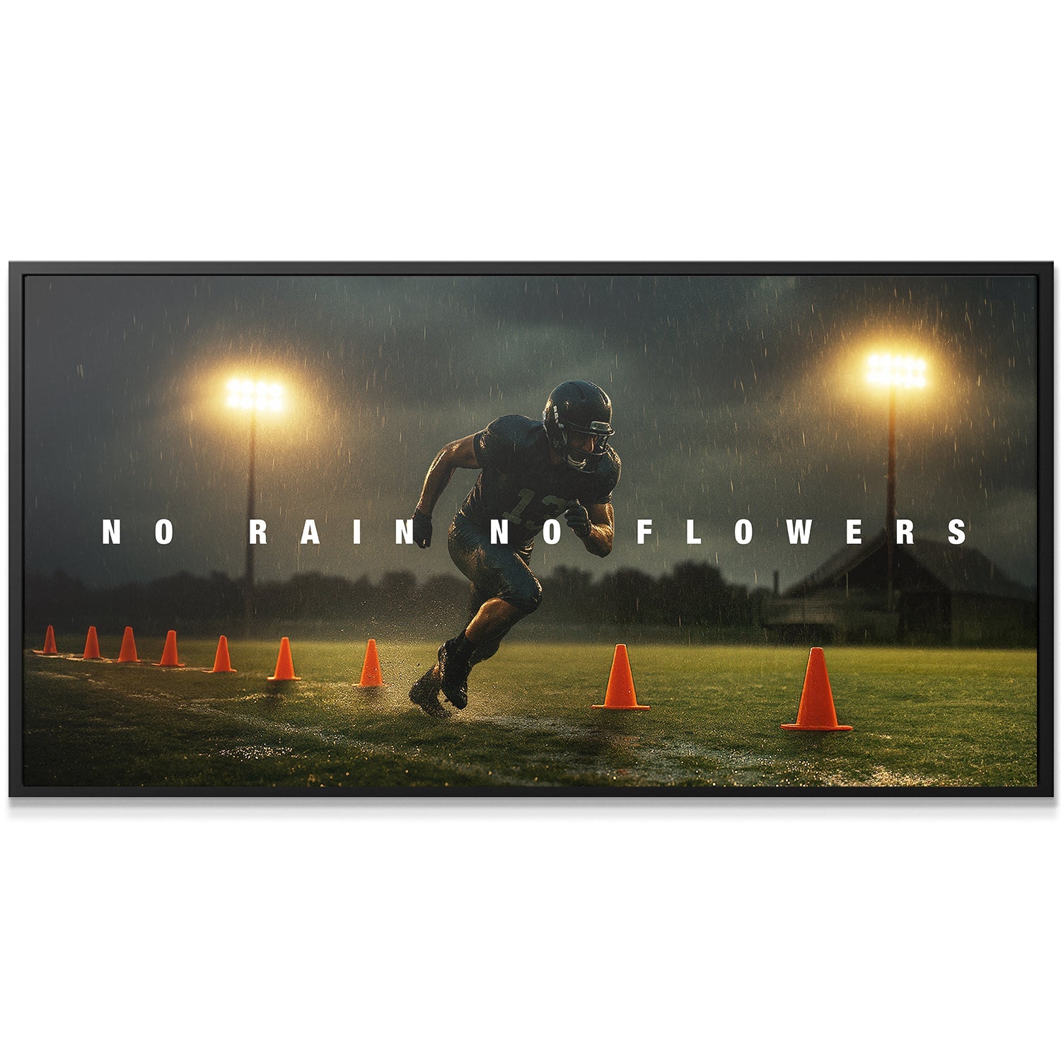 No Rain No Flowers - Image 2