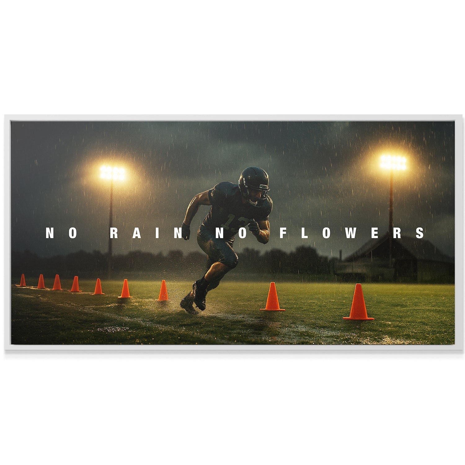 No Rain No Flowers - Image 3