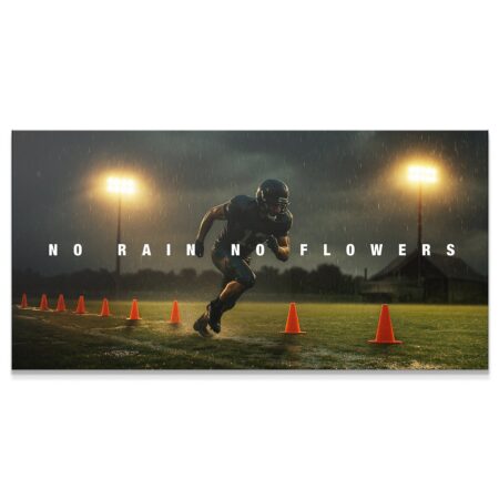 No Rain No Flowers