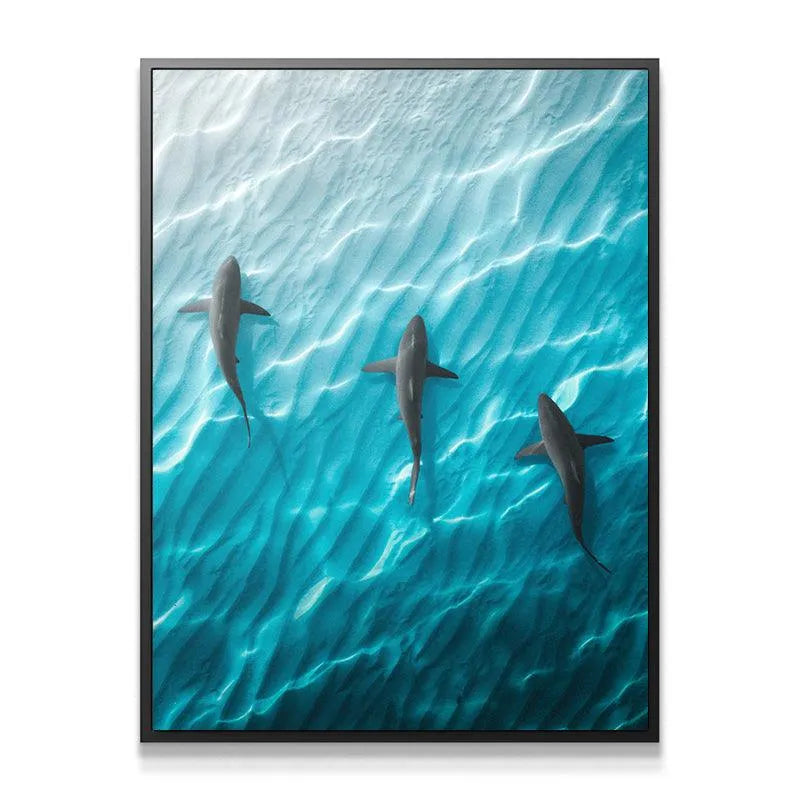 Dynamic light ripples reflecting on the sandy ocean floor captured in the Shark Angle print.