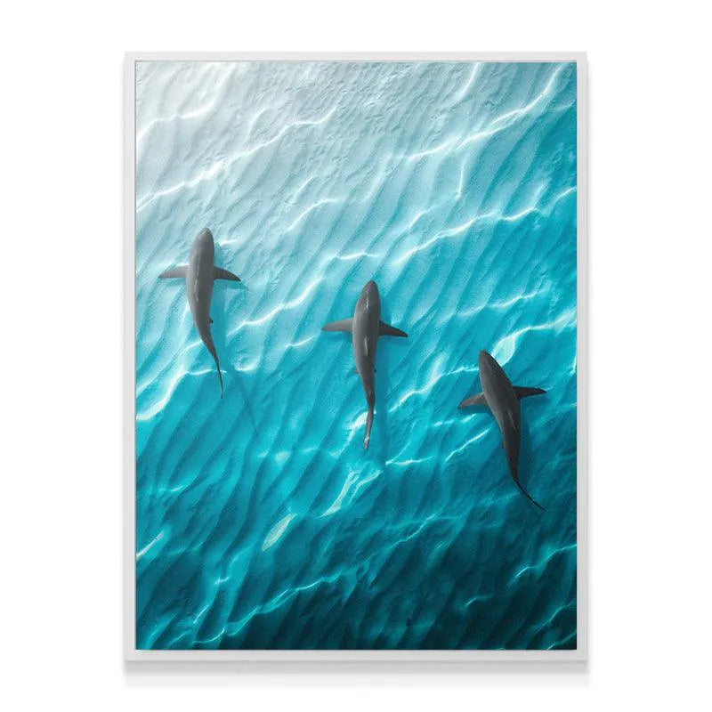 Close-up detail of one shark silhouette gliding through the blue ocean, defining the Shark Angle composition.