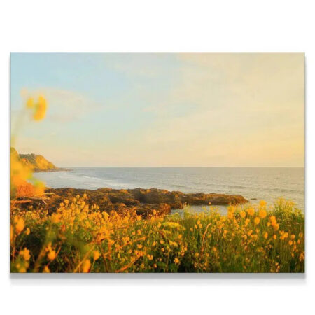 Wide horizontal view of the 'Spring Sunset' over a rocky, wildflower-covered coastline.